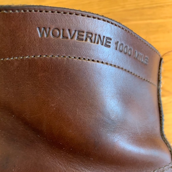 Wolverine 1k - Picture 5 of 6